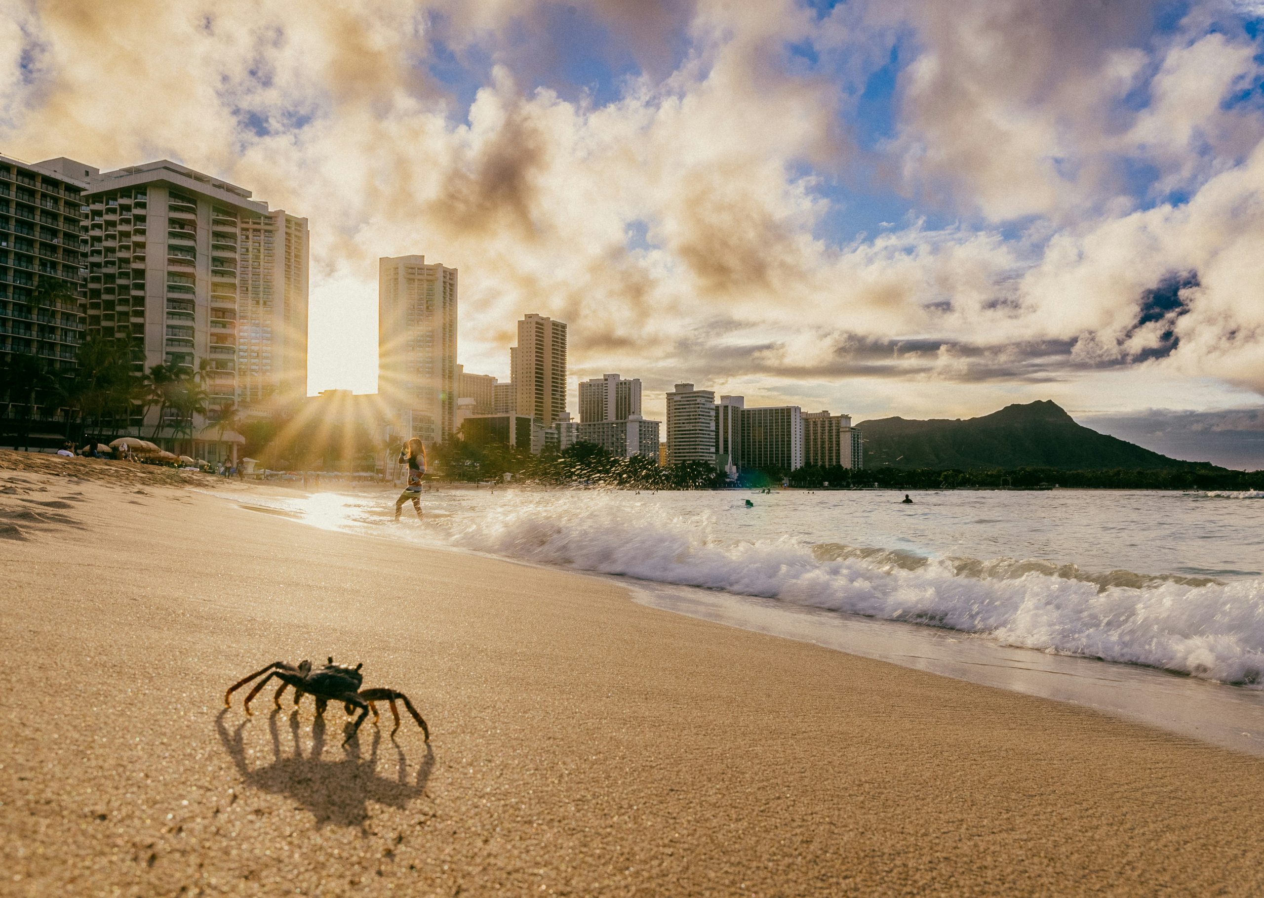 Hawaii Seller of Travel Registration